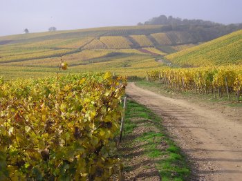 Der Weg zum Ziel ...