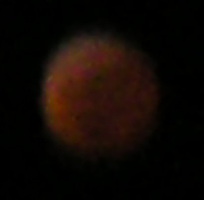 Total eclipse of the moon - 2007-03-05 00:20 CET (7)