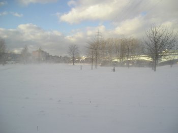 Bild: Schneesturm