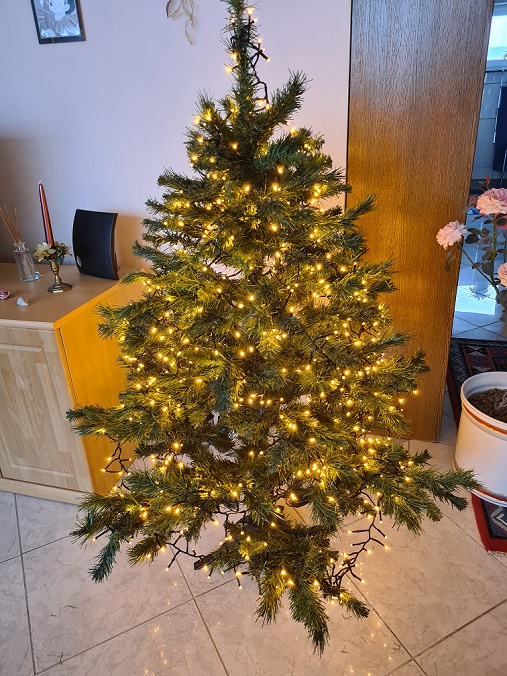 Frohe Weihnacht 2021