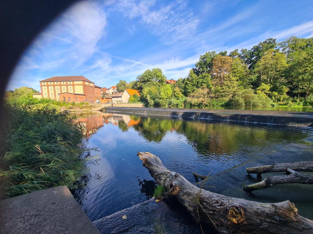 AMBROSIA60 am neuen Standort