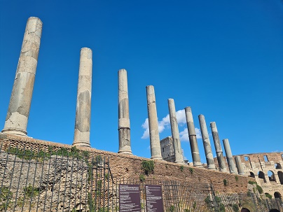 Rome, 24h Hop-On Hop Off: Roman Forum, Via Sacra