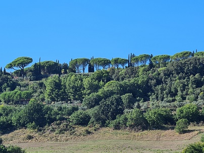Villa Nova - holiday apartment, morning view