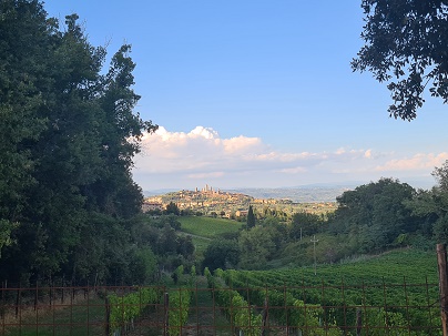 San Gimignano, Manhattan of 13th century, wide view