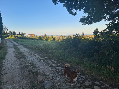 Bye bye Villa Nova (2), last walk before leaving